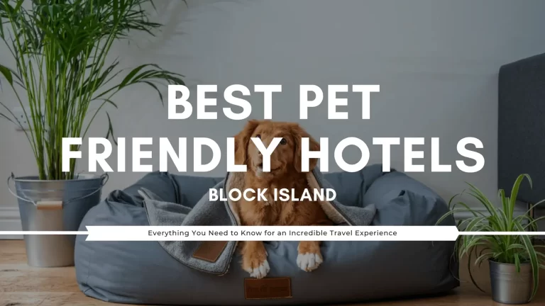 9 Best Pet Friendly Hotels On Block Island